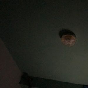 Meet your Posher, Jeanne